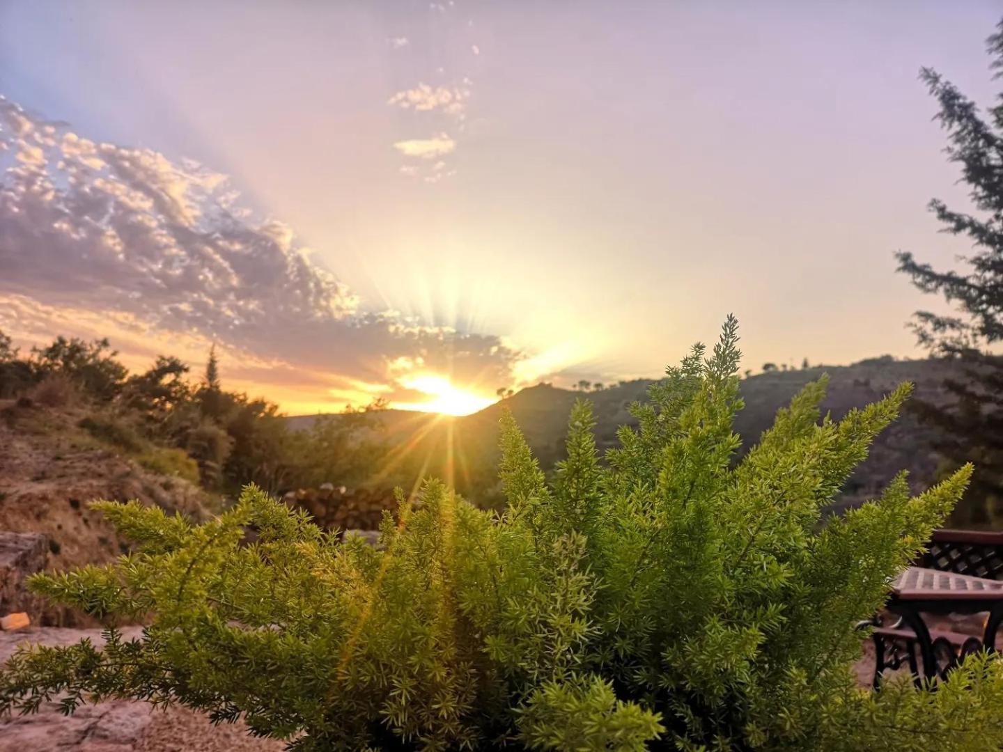 بياتْسا أرمارِنا Panorama Suite المظهر الخارجي الصورة