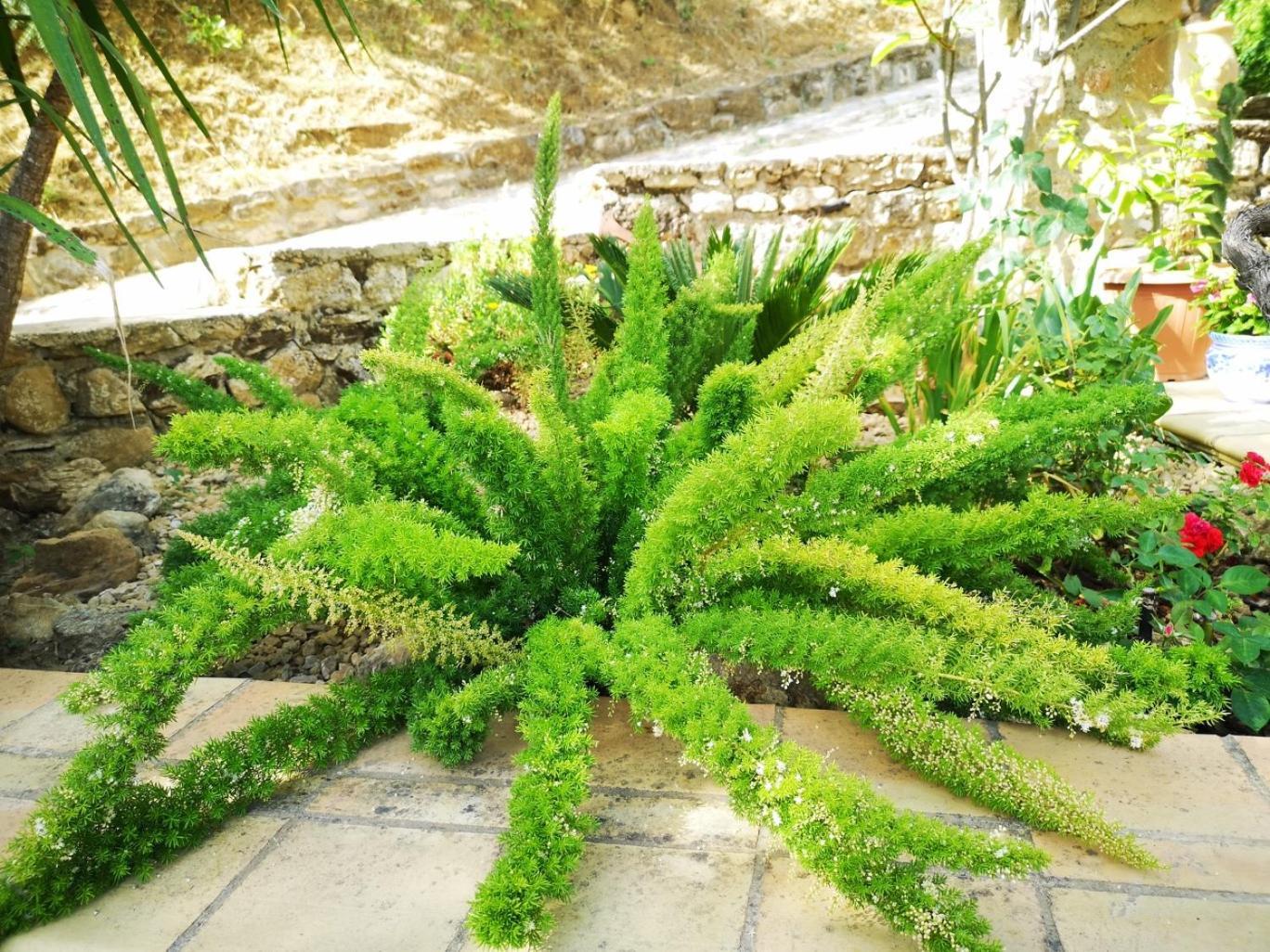 بياتْسا أرمارِنا Panorama Suite المظهر الخارجي الصورة